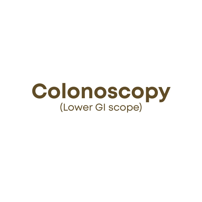 Colonoscopy (Lower GI scope)